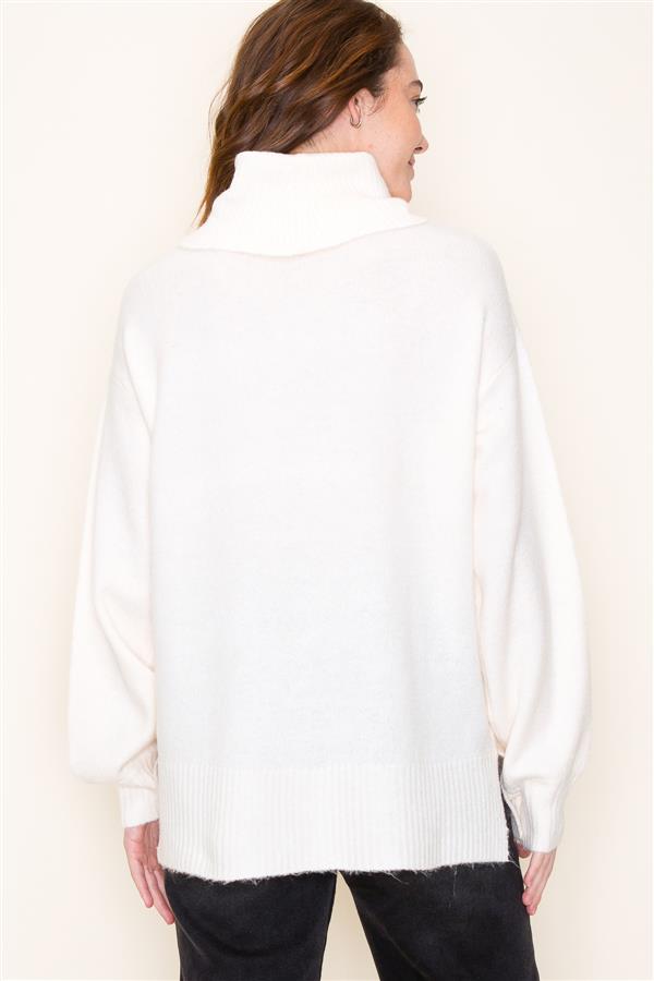 Balloon Sleeve Turtle Neck